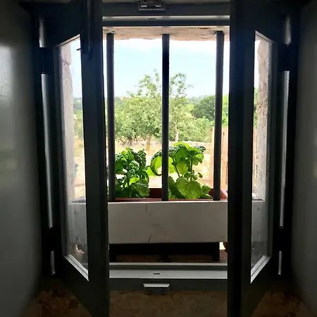 Tatil Evi Altritempi